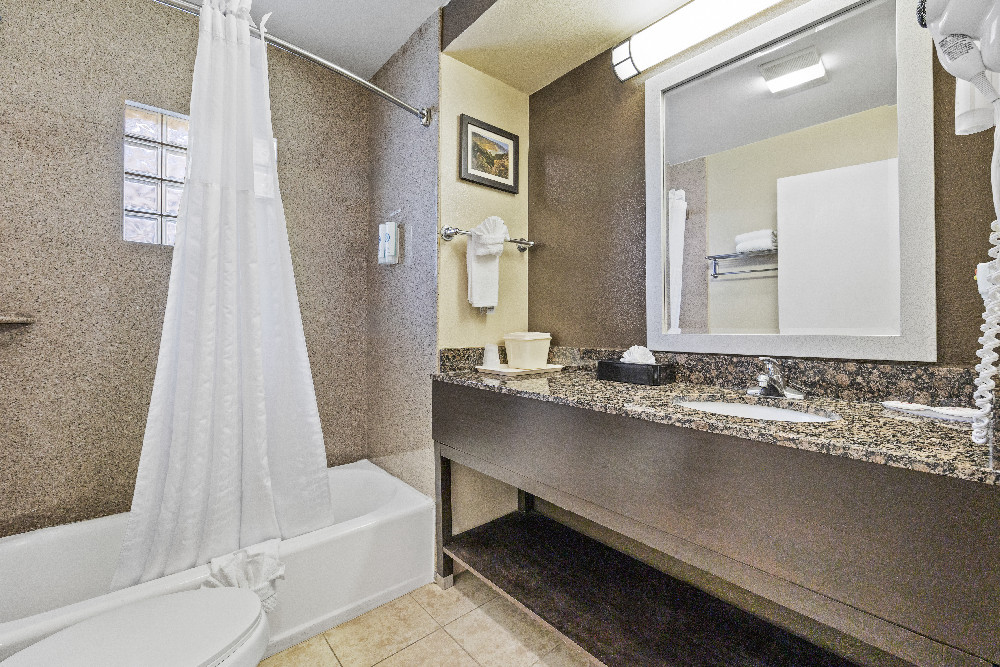 1 King Bed 1 Double Bed Bathroom