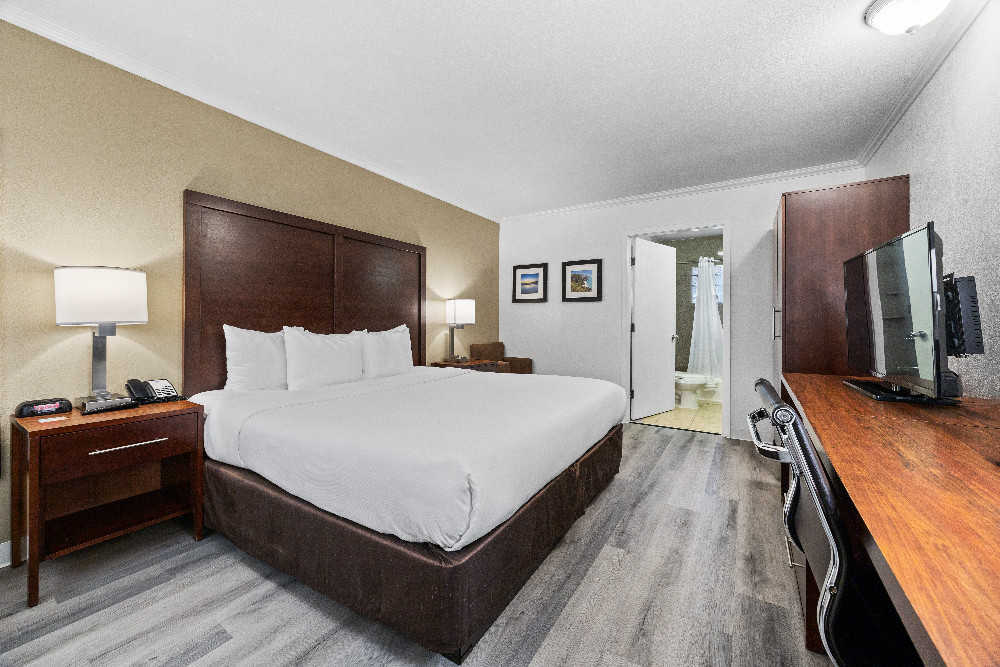 Comfort Inn Santa Cruz Gallery - Guestroom