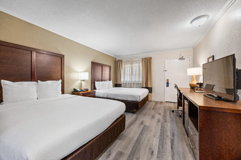 Comfort Inn Santa Cruz Gallery - Guestroom