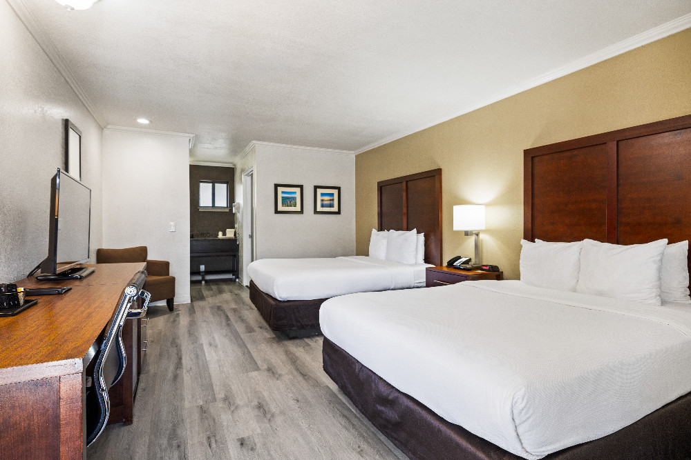 Comfort Inn Santa Cruz Gallery - Guestroom