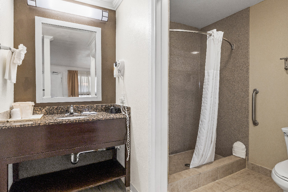 1 King Bed Bathroom