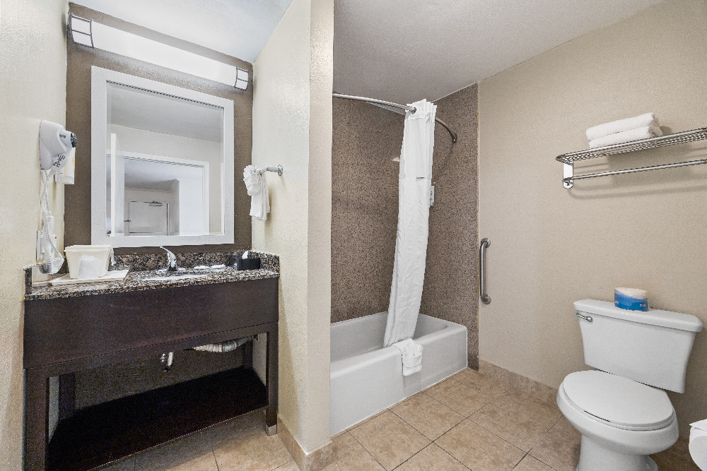 1 King Bed Suite Bathroom