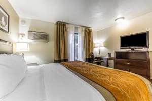 Comfort Inn Santa Cruz - Guest Room with 1 Bed
