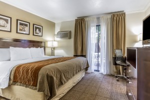 Comfort Inn Santa Cruz - King Bed with Plush Bedding