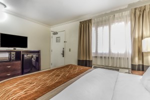 Comfort Inn Santa Cruz - King Bed