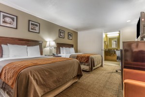 Comfort Inn Santa Cruz - 2 Queen Beds with Plush Bedding