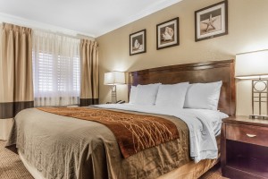 Comfort Inn Santa Cruz - Single King Bed