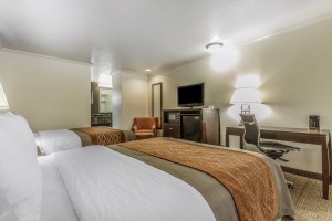 Comfort Inn Santa Cruz - 2 Bed Guest Room