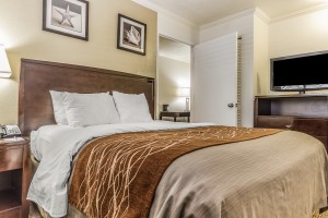 Comfort Inn Santa Cruz - King Suite